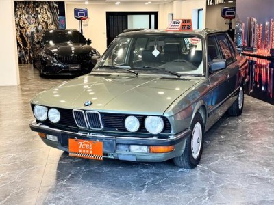 BMW/ 寶馬 520i
