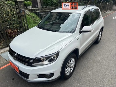 Volkswagen 福斯 Tiguan
