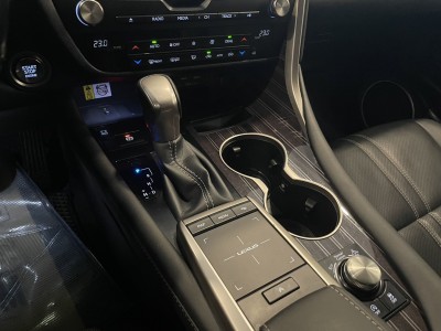 Lexus  RX 2020年 | TCBU優質車商認證聯盟